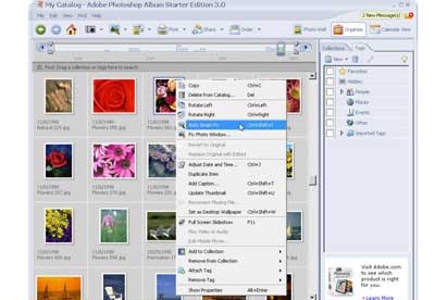 screenshot-Adobe Photoshop Album Starter Edition-1