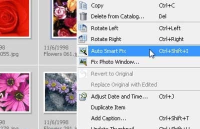 screenshot-Adobe Photoshop Album Starter Edition-2