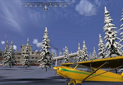 screenshot-Microsoft Flight-2