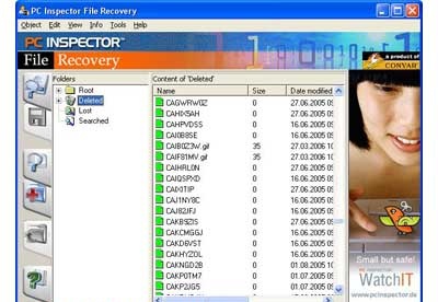 screenshot-PC Inspector-1