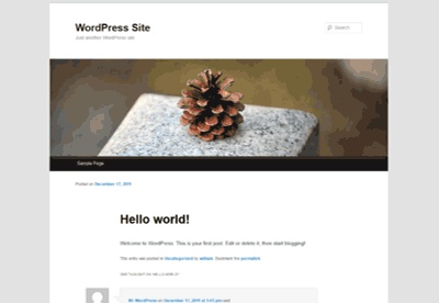 screenshot-WordPress-2