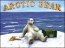 3D Artic Bear Advanced