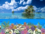 Coral Island Screensaver