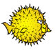 OpenBSD