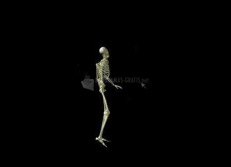 screenshot-3D Dancing Skeleton-1
