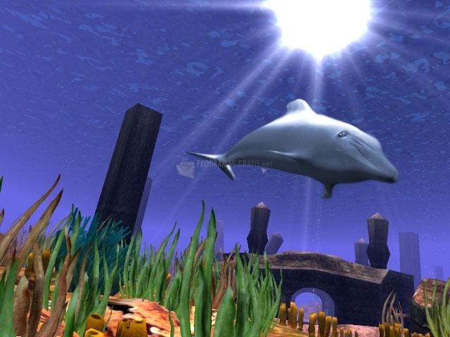 screenshot-3D Wild Dolphin Screensaver-1