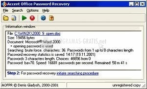 screenshot-Accent ACCESS Password Recovery-1