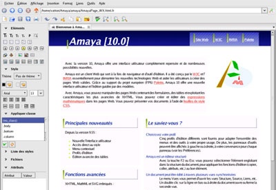 screenshot-Amaya-1