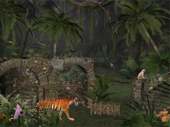 screenshot-Ancient City Forests Wallpapers-1