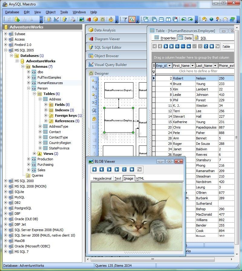 screenshot-AnySQL Maestro-1