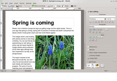 screenshot-Calligra Suite-1
