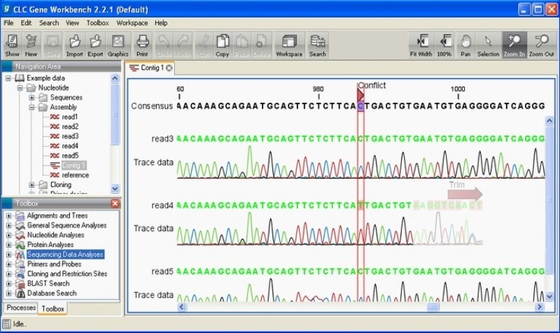 clc genomics workbench software