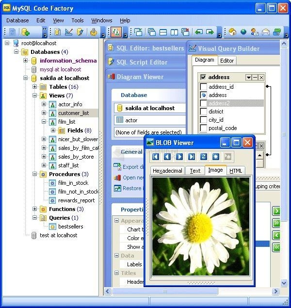 screenshot-Code Factory for MySQL-1