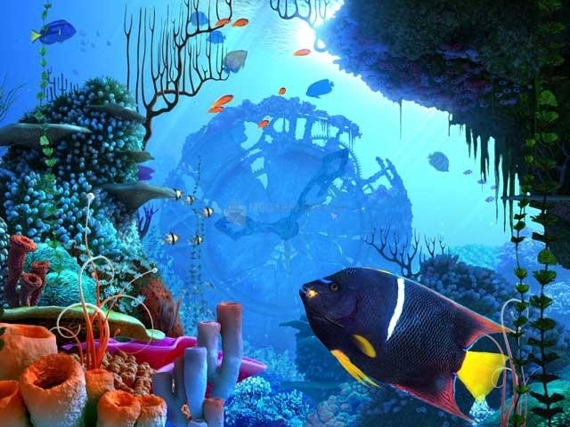 screenshot-Coral Clock 3D Screensaver-1