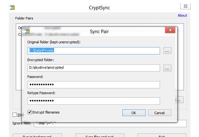 screenshot-CryptSync-2
