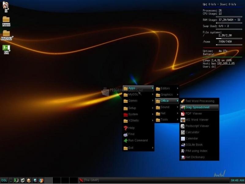 screenshot-Damn Small Linux-1