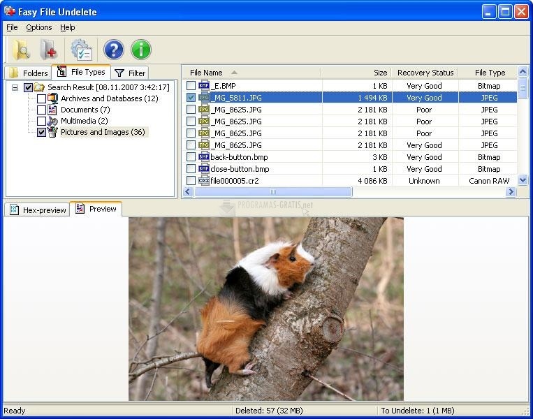 screenshot-Easy NTFS File Undelete-1