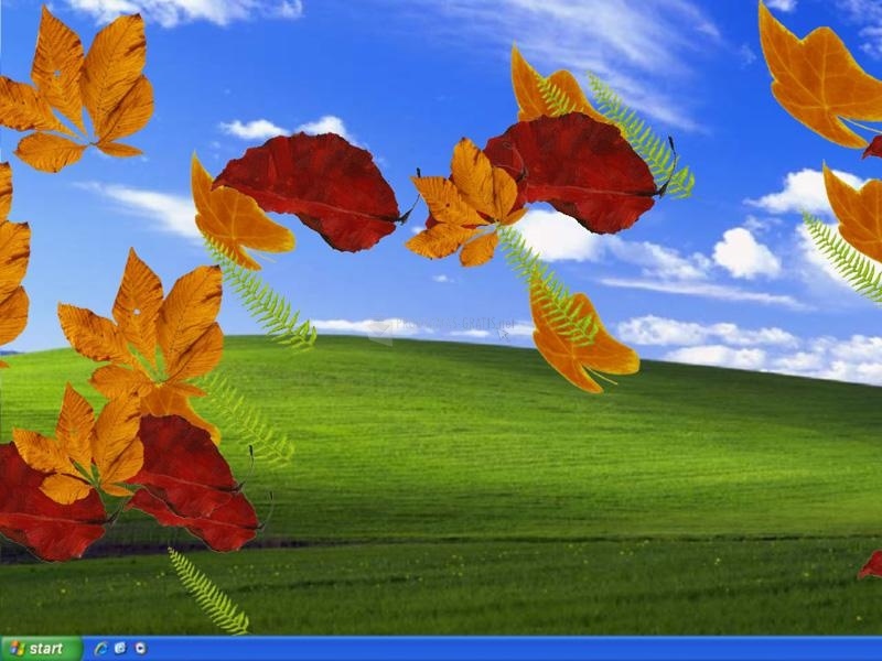 screenshot-EIPC Autumn Leaves-1