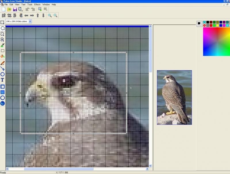 screenshot-Falco Icon Studio-1