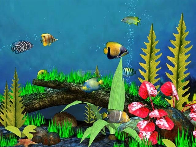 Fish Aquarium 3D Screensaver download free for Windows 10 64/32 bit