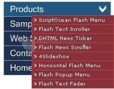 screenshot-Flash Popup Menu Builder-1