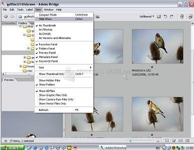 screenshot-FLV Importer Pro for Adobe Premiere Pro-1