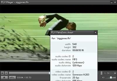 screenshot-FLV Player-1