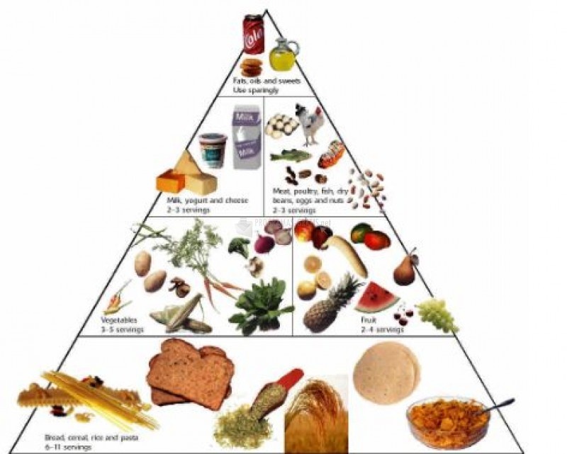 screenshot-Food Pyramid Animated Diete-1