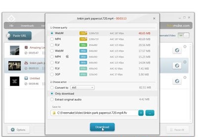 screenshot-Freemake YouTube Video Downloader-2