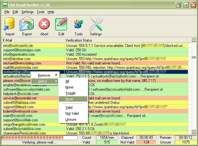 screenshot-GSA Email Verifier-1