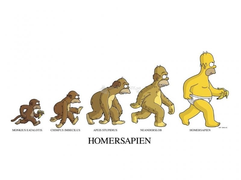screenshot-Homer Sapiens-1
