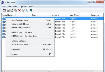 screenshot-IE Passview-2