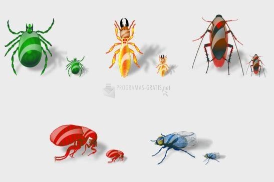 screenshot-Insects-1