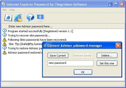 screenshot-Internet Explorer Password-1