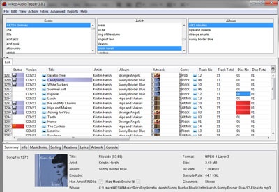 jaikoz audio tagger 7.1.1 crack