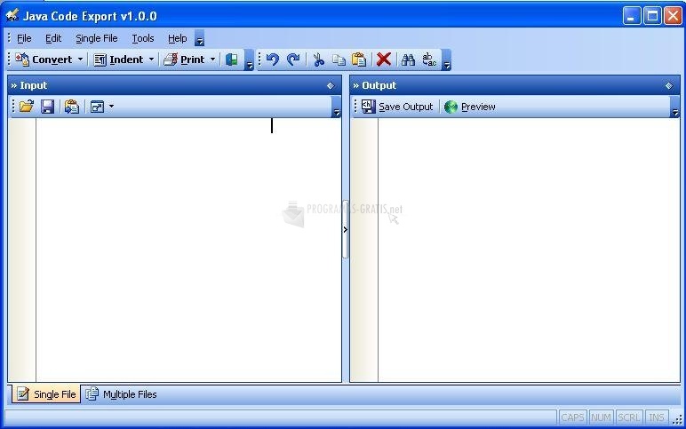 screenshot-Java Code Export Beta-1