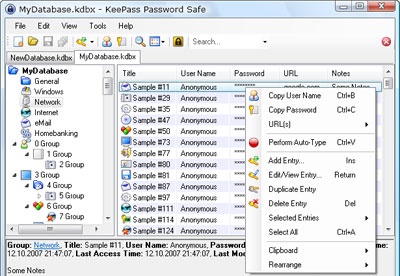 download keepass password safe professional edition (2.52)