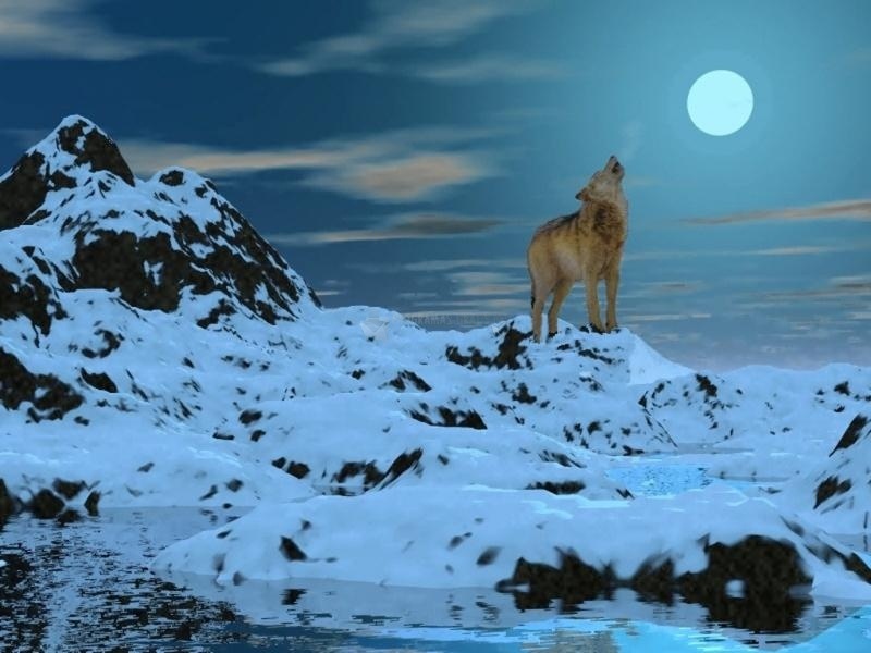 screenshot-Lobo polar-1