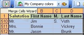 screenshot-Merge Cells Wizard for Excel-1
