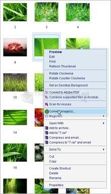 screenshot-Morz Image Converter 2008-1