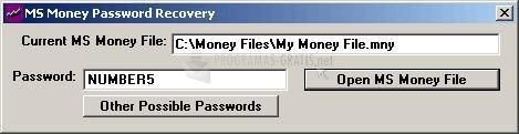 screenshot-MS Money Password Recovery-1