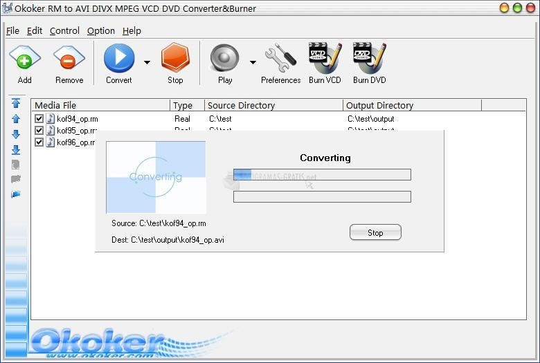 screenshot-Okoker RM to AVI DVD Converter Burner-1