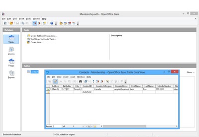 screenshot-OpenOffice.org Base-1