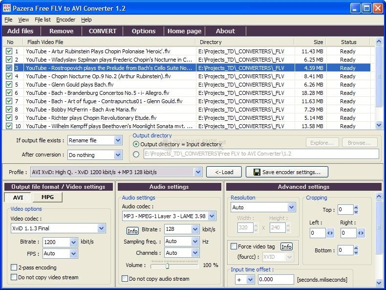screenshot-Pazera Free FLV to AVI Converter-1