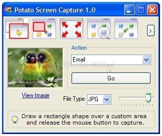 screenshot-Potato Screen Capture-1