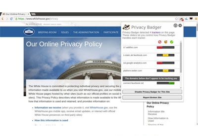 screenshot-Privacy Badger-1