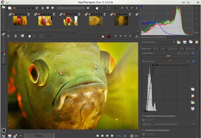 screenshot-RawTherapee-1