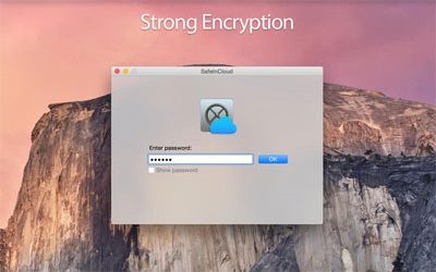 screenshot-SafeInCloud-1