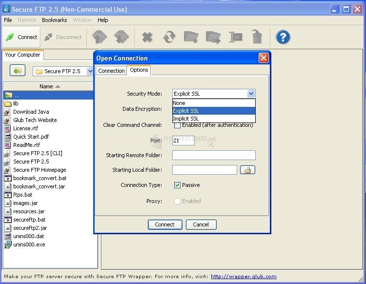 screenshot-Secure FTP Client-1
