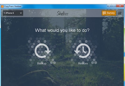 screenshot-Shelbee-1